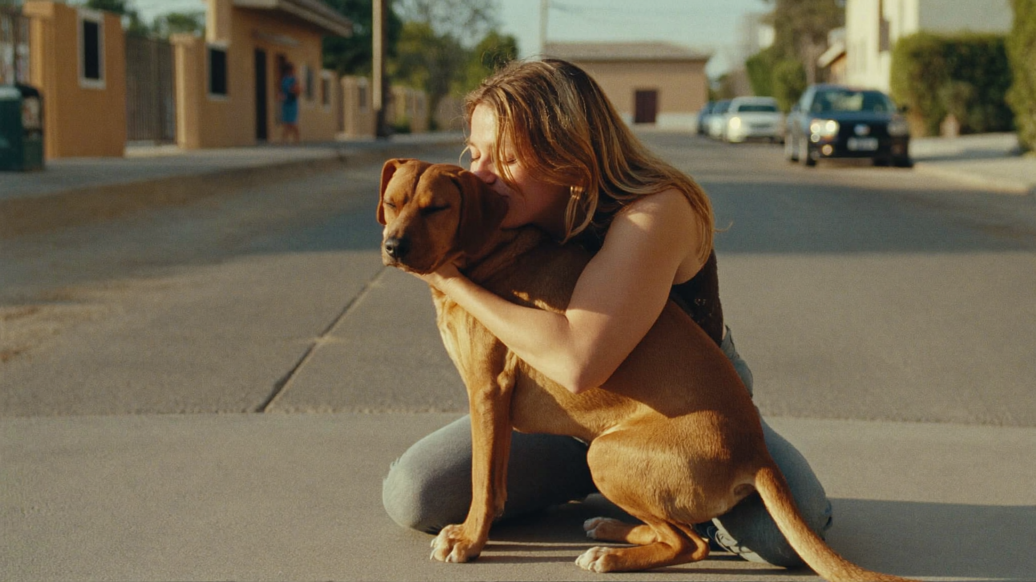 Una persona abraza a su perro reencontrado en la calle, al atardecer